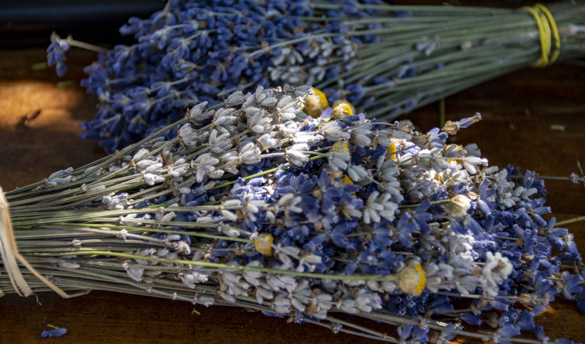 Lavender Farm & Gift Shop in Martinsville, VA