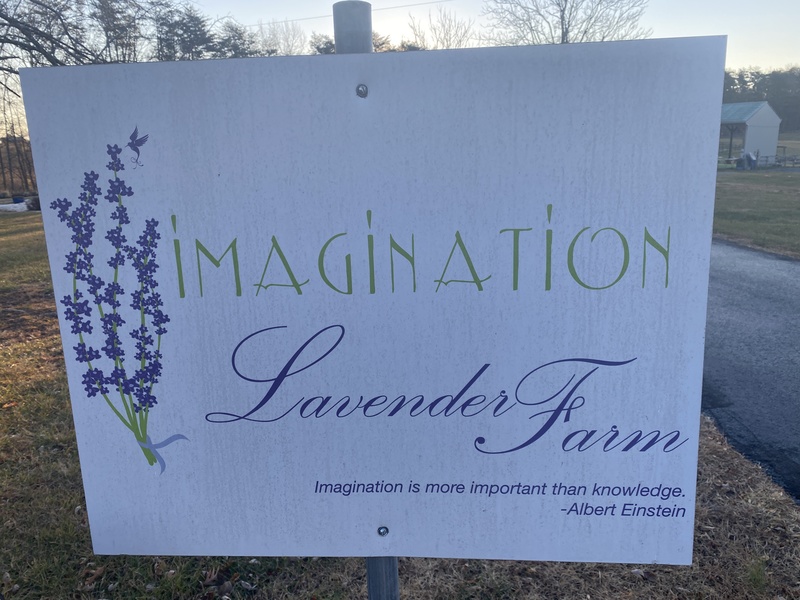 Imagination Lavender Farm, Martinsville, Virginia.