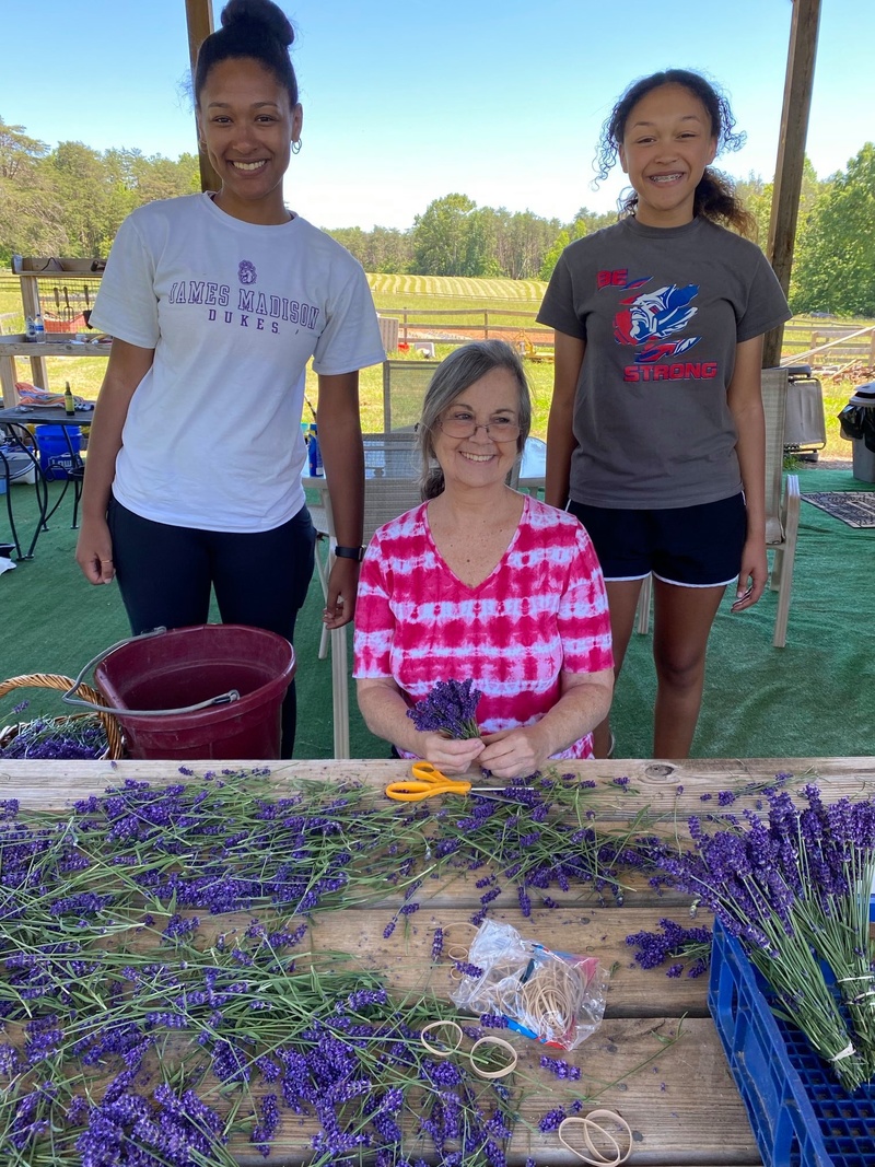 Lavender farm gals making a big dent in bundling English lavender (Queenie Dillard, Deborah Henderson and Laura Dillard.)