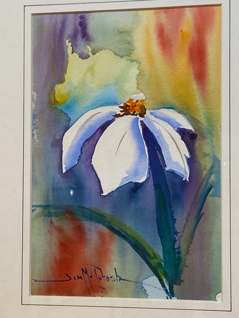 Water Color Paintings by Dr. Jim McIntosh