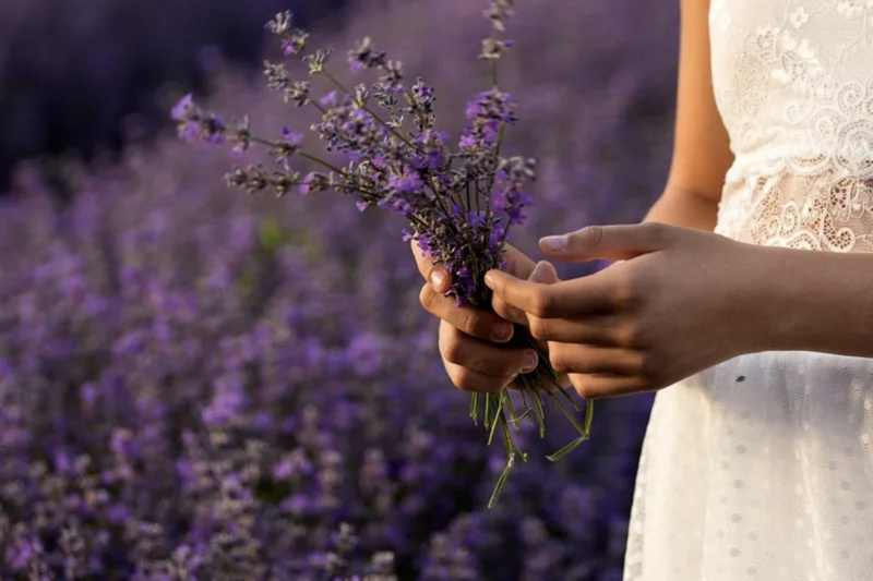 In the Language of Love, lavender means DEVOTION and UNDYING LOVE.